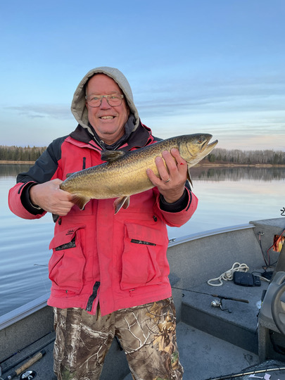 Tiger Trout