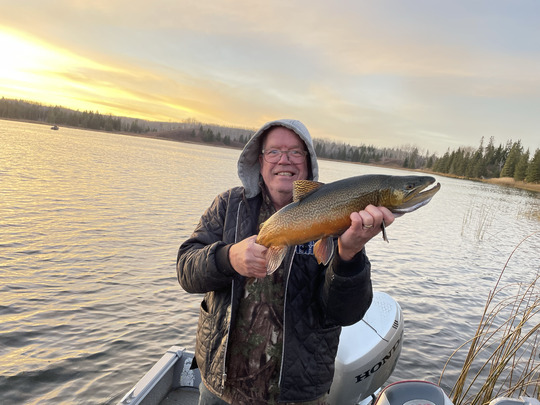 Tiger Trout