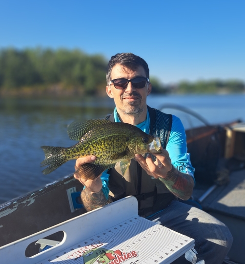 Black Crappie