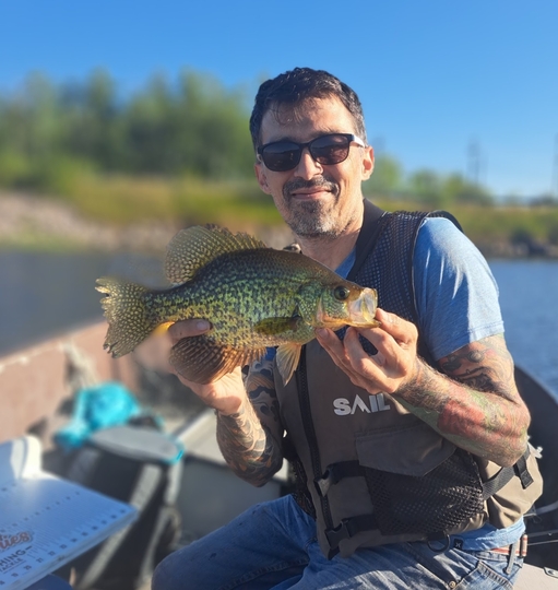 Black Crappie