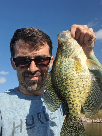 Black Crappie