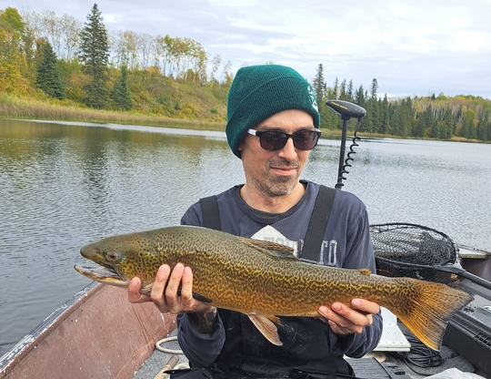 Tiger Trout