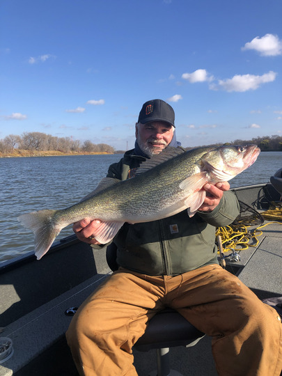 Walleye