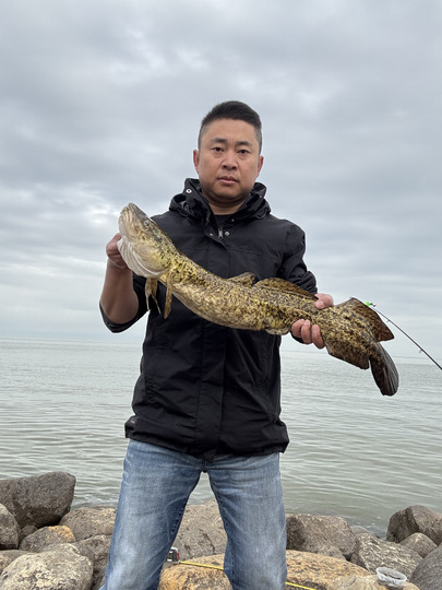 Burbot