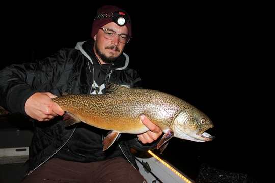 Tiger Trout