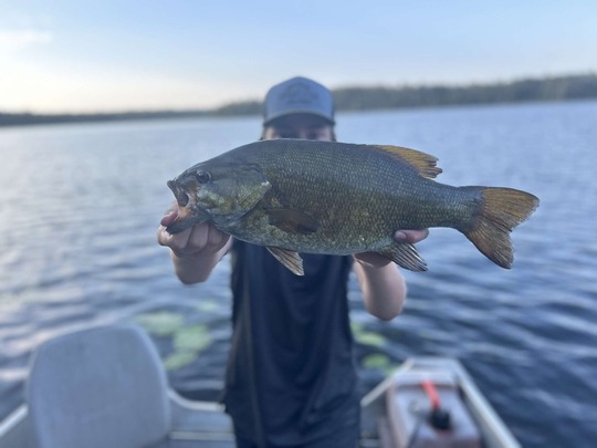 Smallmouth Bass