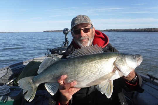 Walleye