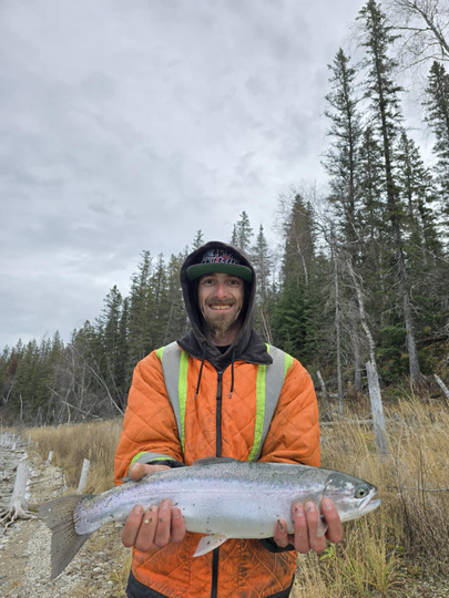 Rainbow Trout