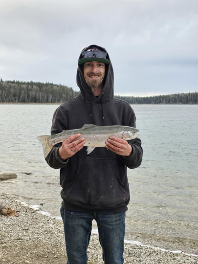 Rainbow Trout