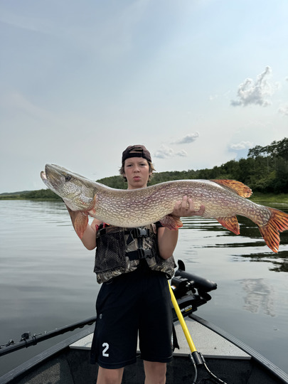 Northern Pike