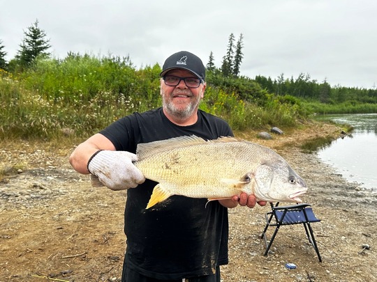 Freshwater Drum