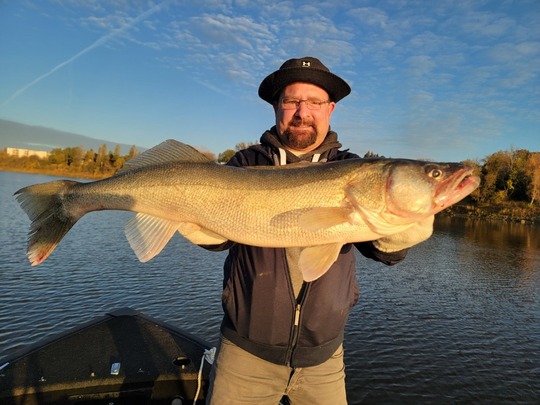 Walleye