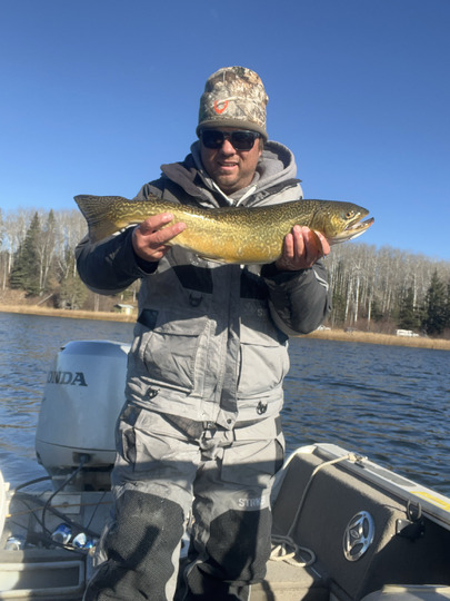 Tiger Trout