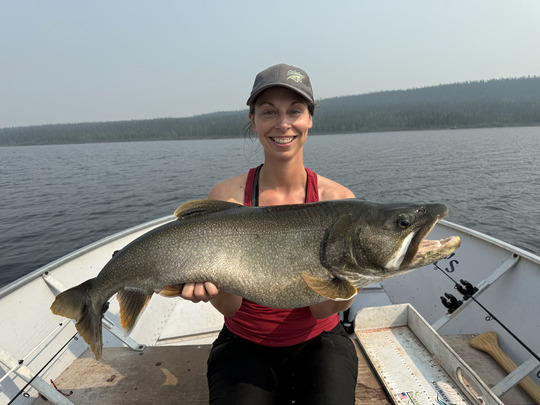 Lake Trout