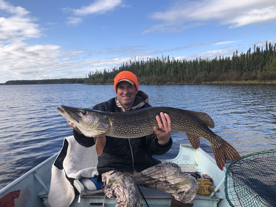 Northern Pike