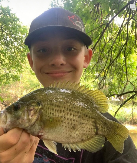 Rock Bass