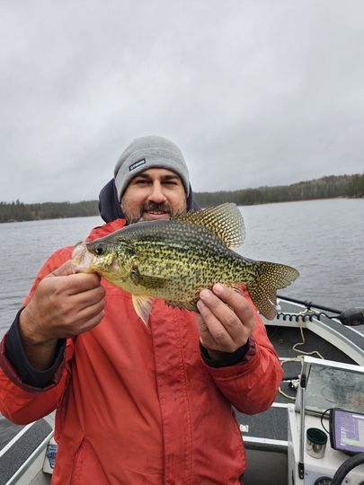 Black Crappie