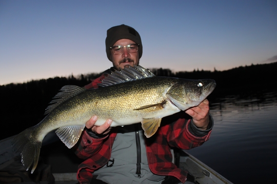 Walleye