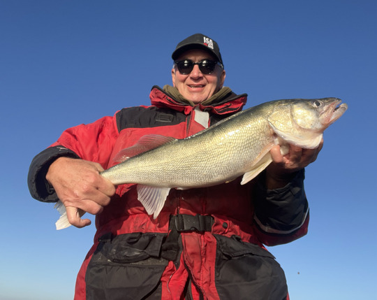 Walleye