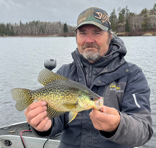 Black Crappie