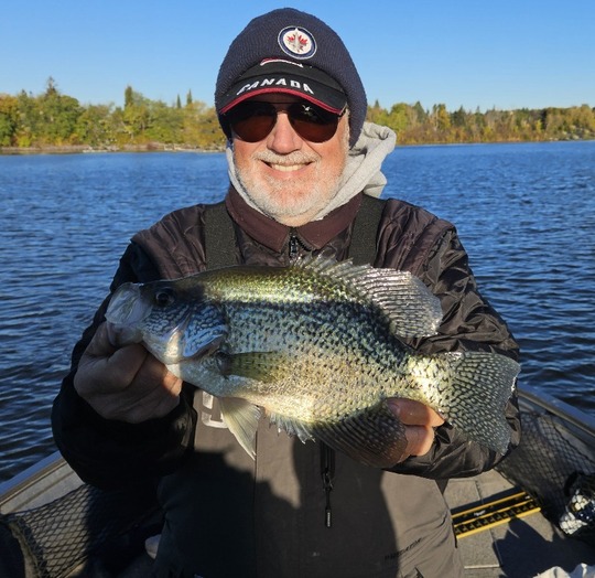 Black Crappie