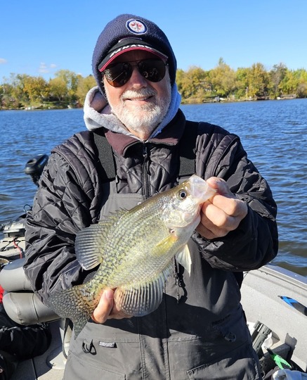 Black Crappie