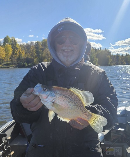 Black Crappie