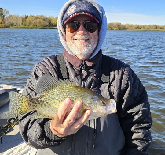 Black Crappie