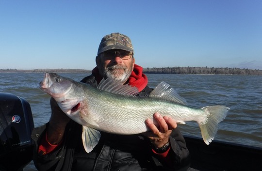 Walleye