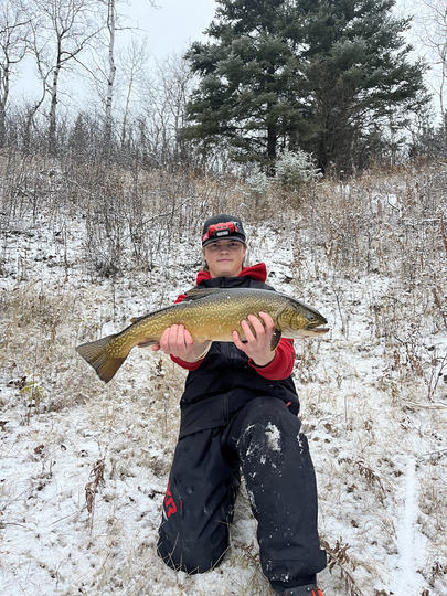 Tiger Trout