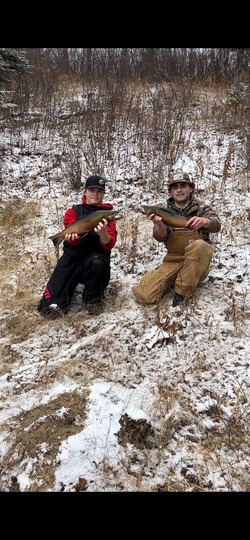 Tiger Trout