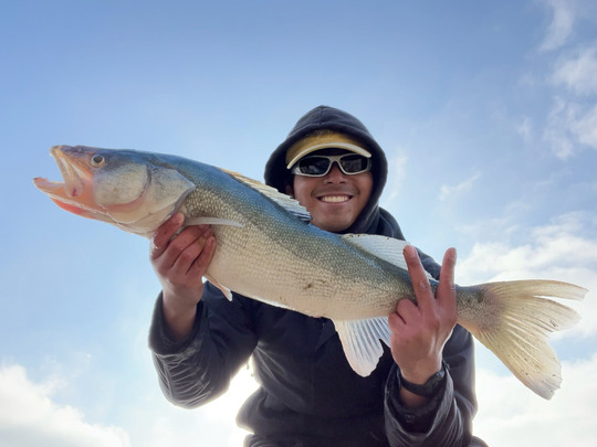 Walleye