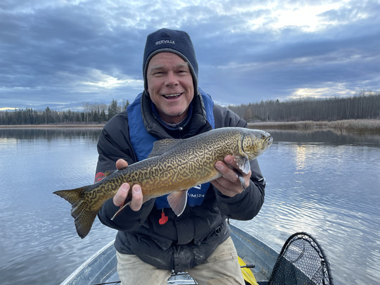 Tiger Trout