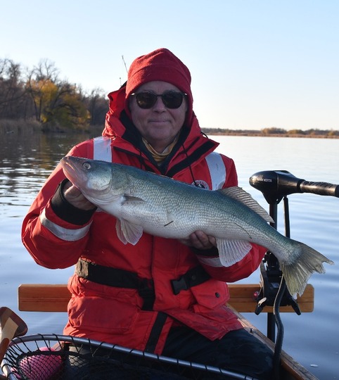 Walleye