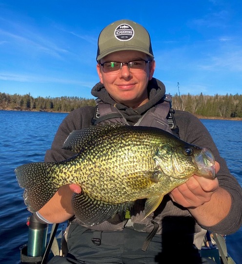 Black Crappie