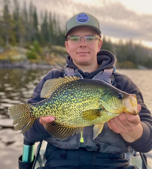 Black Crappie