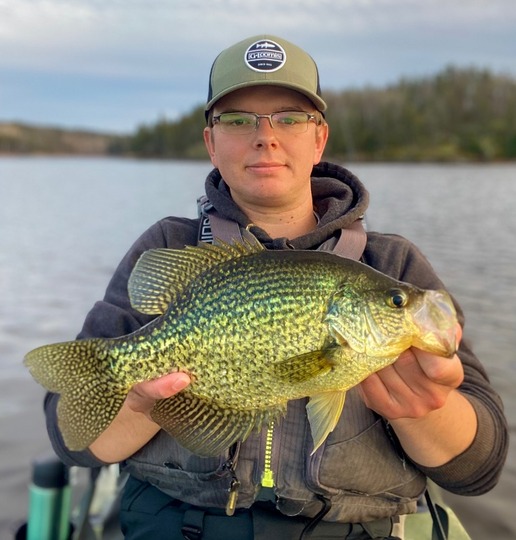 Black Crappie