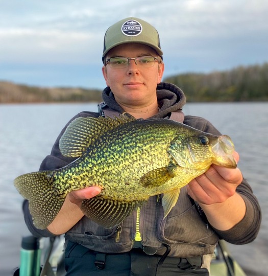 Black Crappie