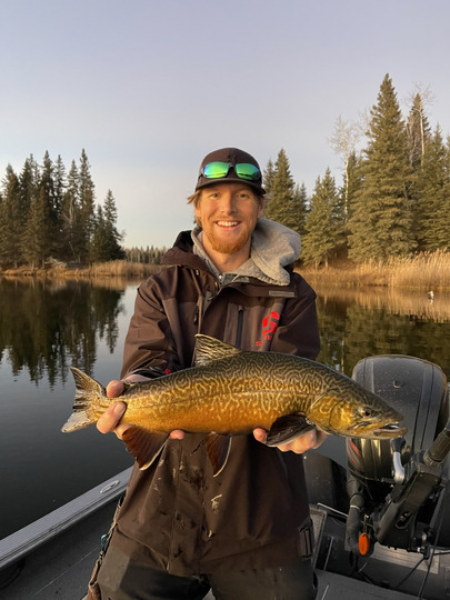 Tiger Trout