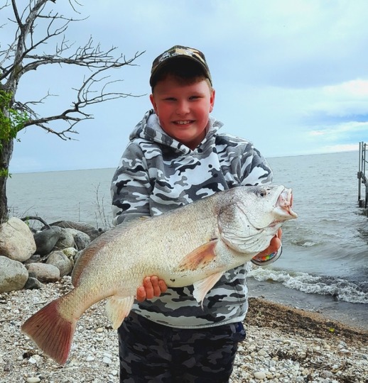 Freshwater Drum