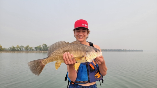 Freshwater Drum