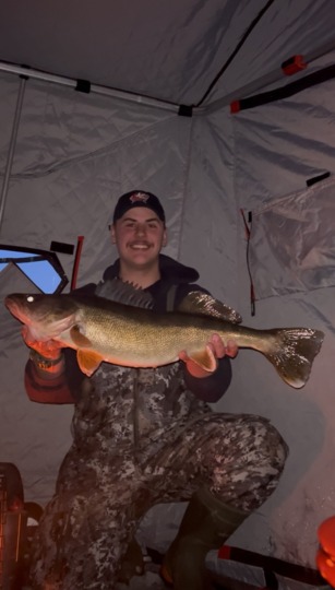 Walleye