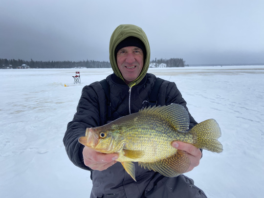 Black Crappie