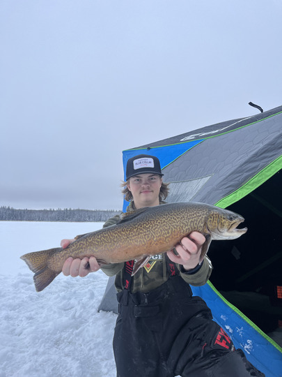 Tiger Trout