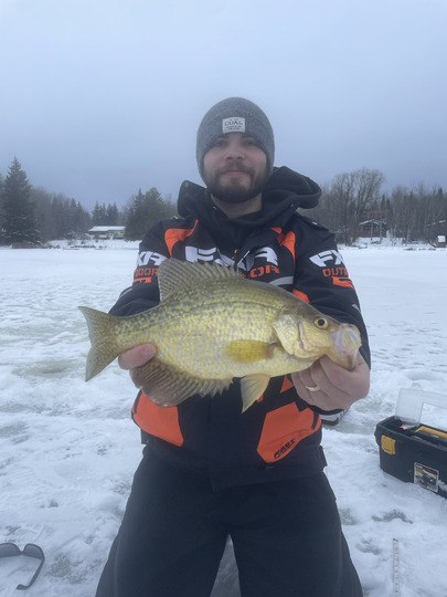 Black Crappie