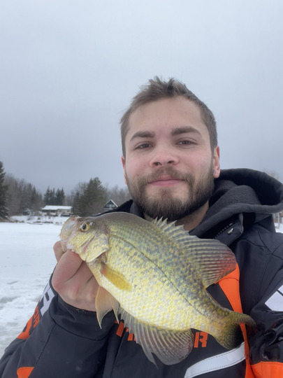 Black Crappie