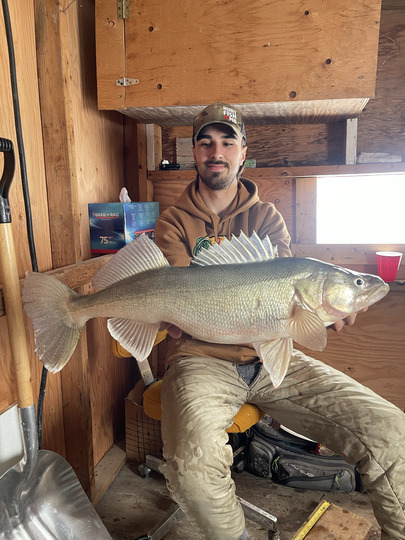 Walleye