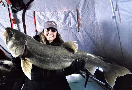 Lake Trout