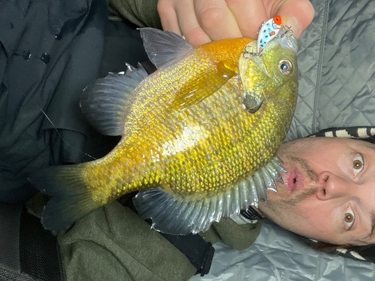 Sunfish