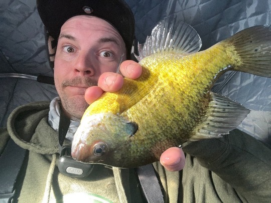 Sunfish
